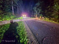 2026 08 29 T01 Baum Uber Hinterleitenstrasse   20260829 002406